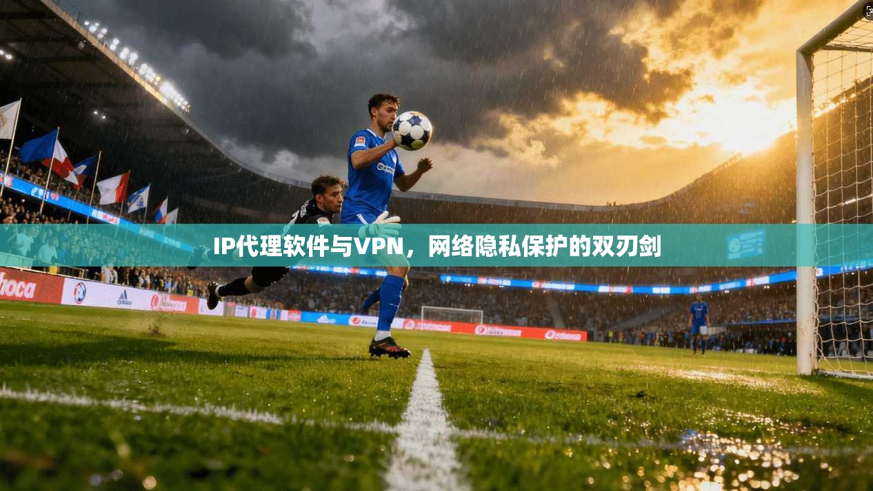 IP代理软件与VPN，网络隐私保护的双刃剑