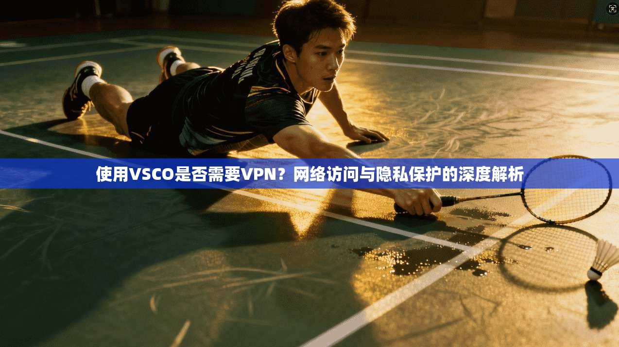 使用VSCO是否需要VPN？网络访问与隐私保护的深度解析