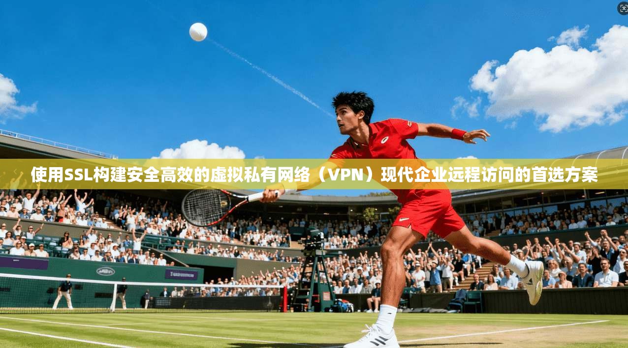使用SSL构建安全高效的虚拟私有网络（VPN）现代企业远程访问的首选方案