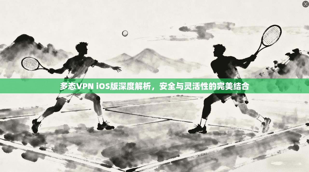 多态VPN iOS版深度解析，安全与灵活性的完美结合