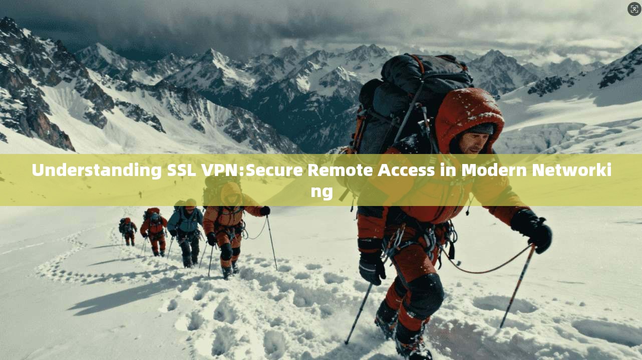 Understanding SSL VPN:Secure Remote Access in Modern Networking