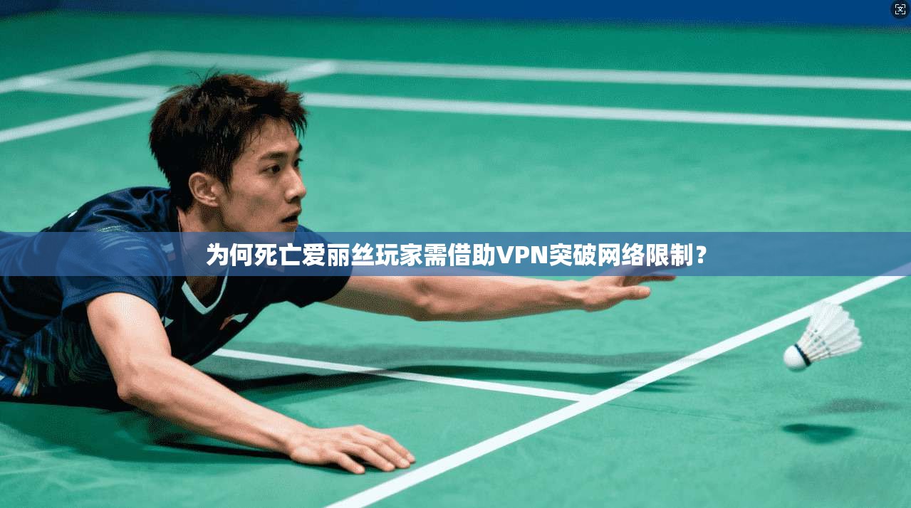 为何死亡爱丽丝玩家需借助VPN突破网络限制？