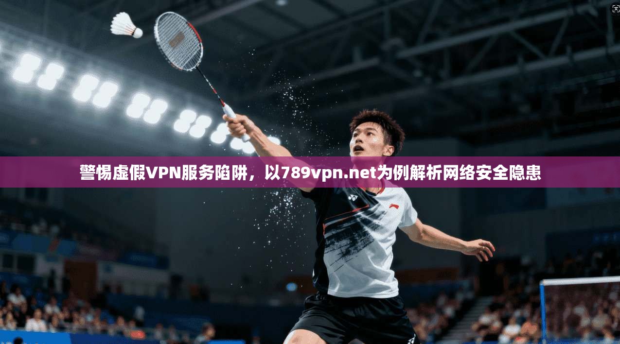 警惕虚假VPN服务陷阱，以789vpn.net为例解析网络安全隐患