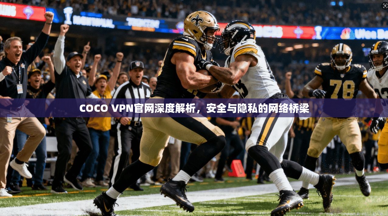 COCO VPN官网深度解析，安全与隐私的网络桥梁