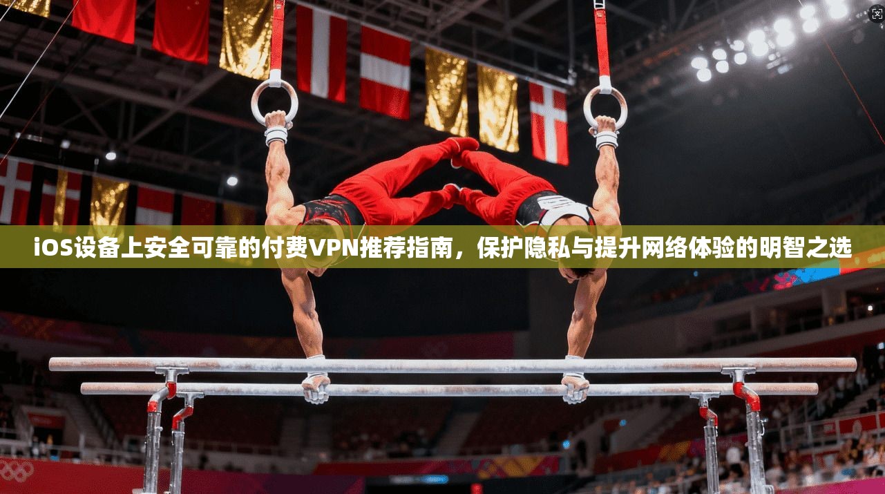 iOS设备上安全可靠的付费VPN推荐指南，保护隐私与提升网络体验的明智之选