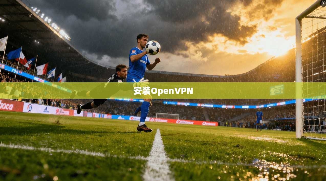 安装OpenVPN