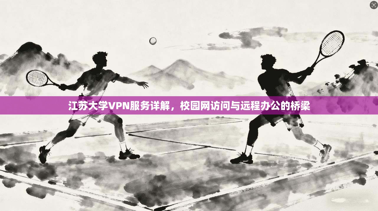 江苏大学VPN服务详解，校园网访问与远程办公的桥梁