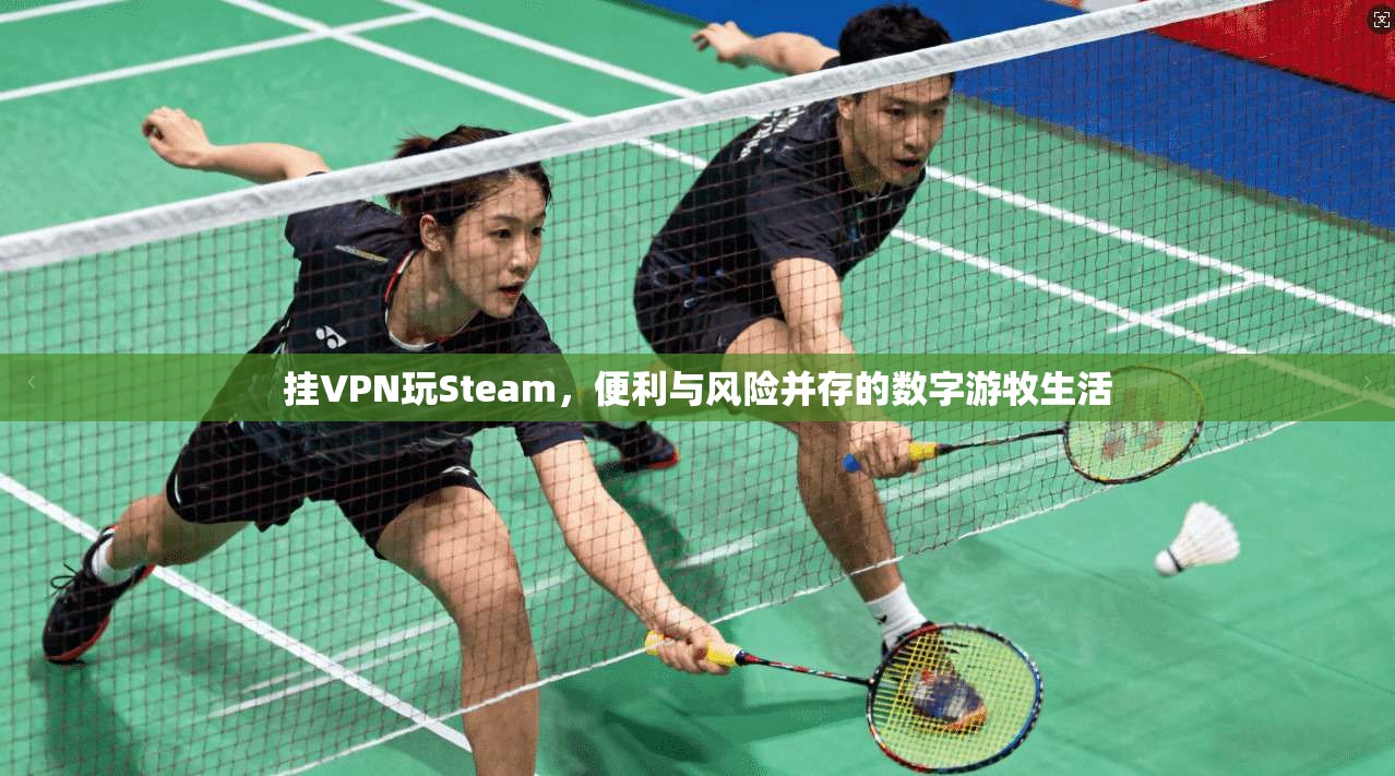 挂VPN玩Steam，便利与风险并存的数字游牧生活