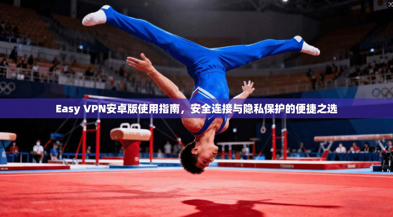 Easy VPN安卓版使用指南，安全连接与隐私保护的便捷之选