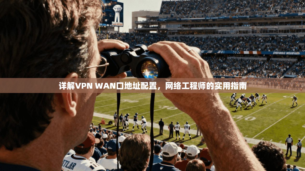 详解VPN WAN口地址配置，网络工程师的实用指南