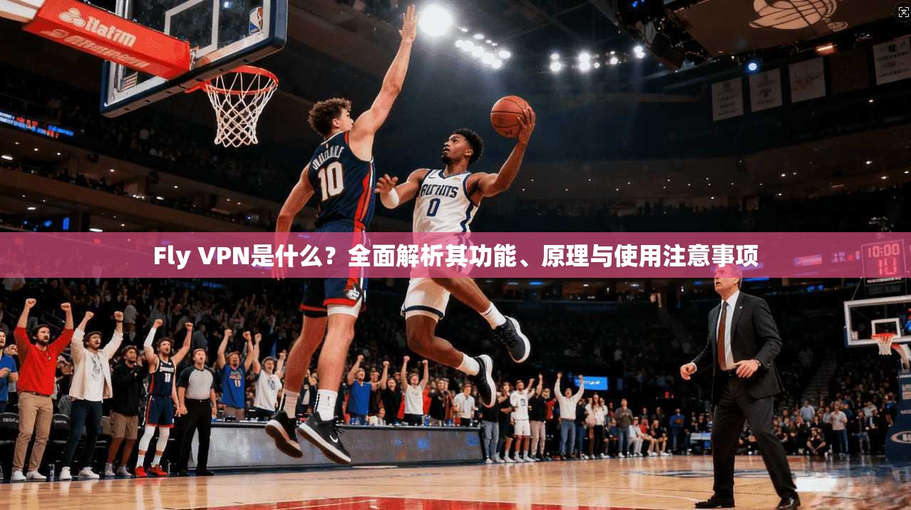 Fly VPN是什么？全面解析其功能、原理与使用注意事项
