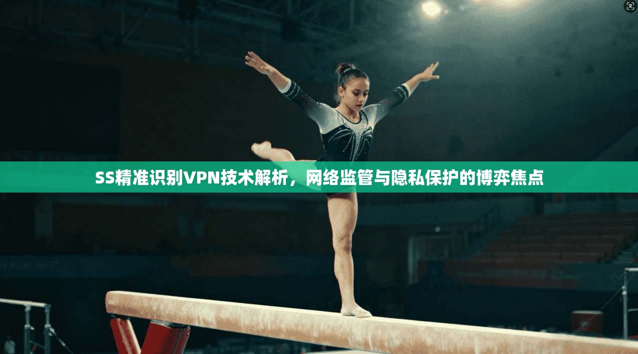 SS精准识别VPN技术解析，网络监管与隐私保护的博弈焦点