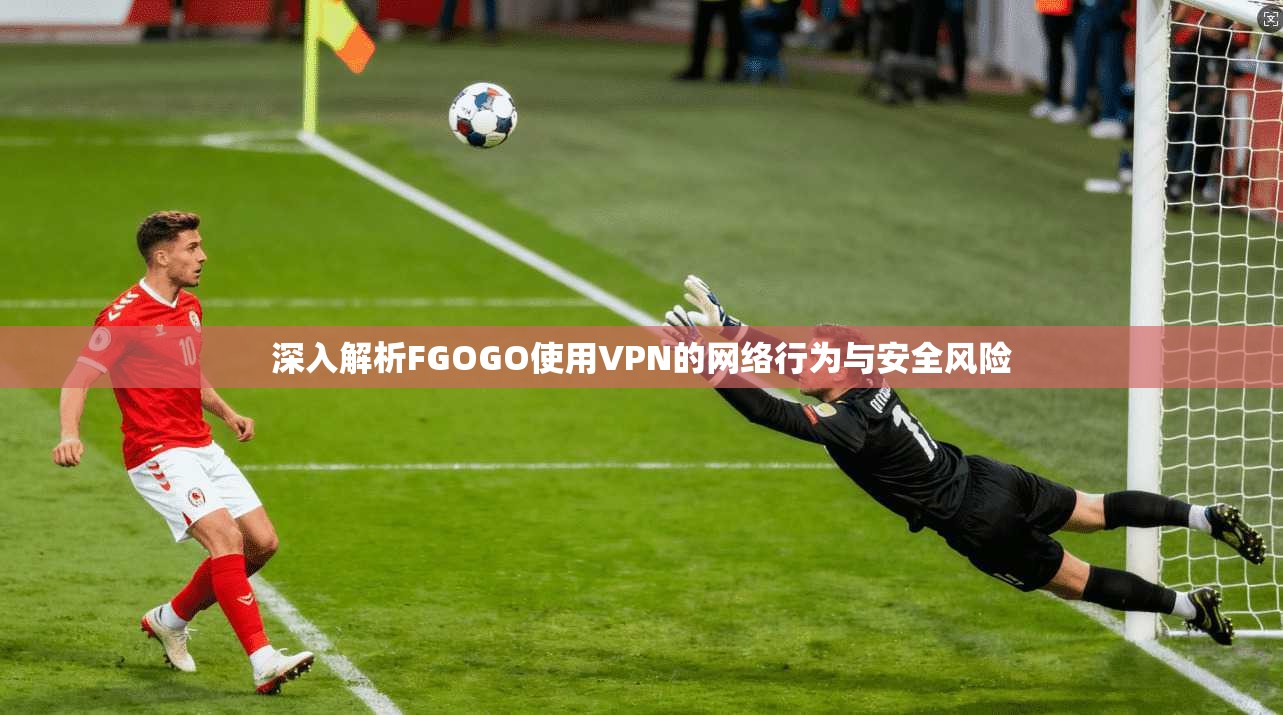 深入解析FGOGO使用VPN的网络行为与安全风险