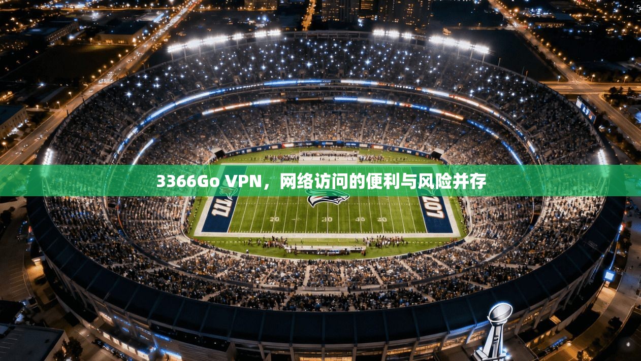 3366Go VPN，网络访问的便利与风险并存
