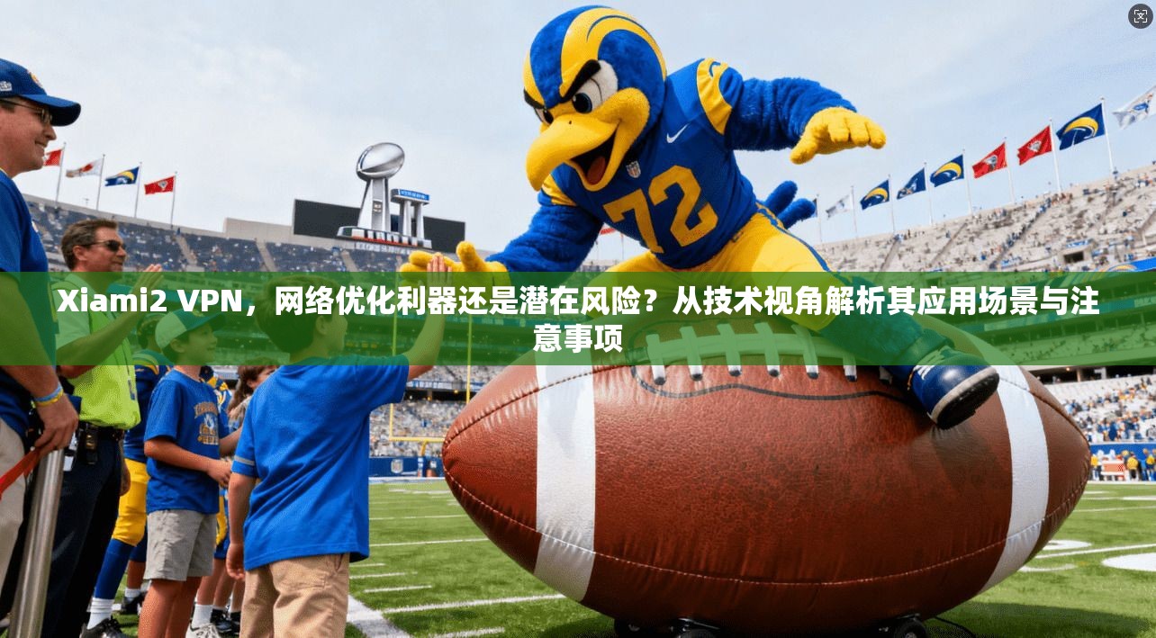 Xiami2 VPN，网络优化利器还是潜在风险？从技术视角解析其应用场景与注意事项