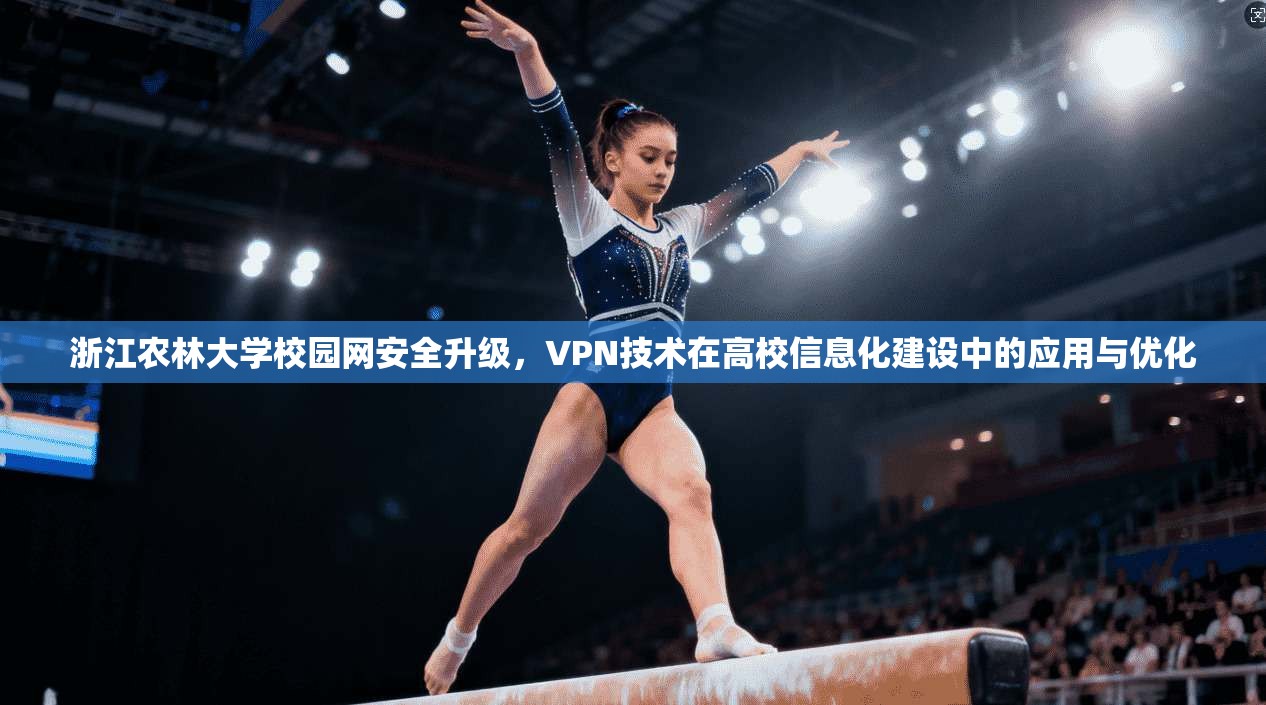 浙江农林大学校园网安全升级，VPN技术在高校信息化建设中的应用与优化