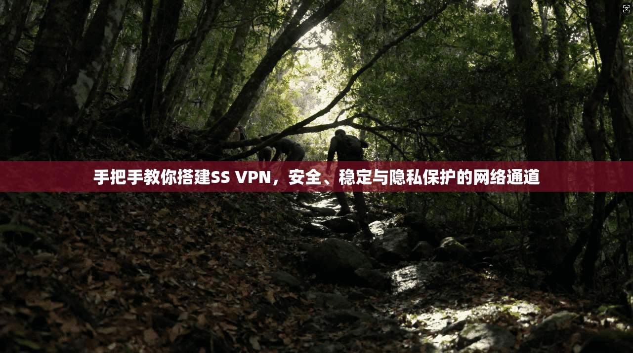 手把手教你搭建SS VPN，安全、稳定与隐私保护的网络通道