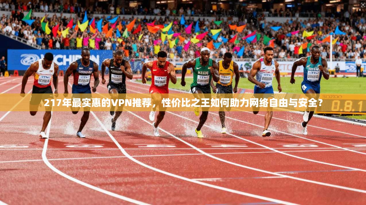 217年最实惠的VPN推荐，性价比之王如何助力网络自由与安全？