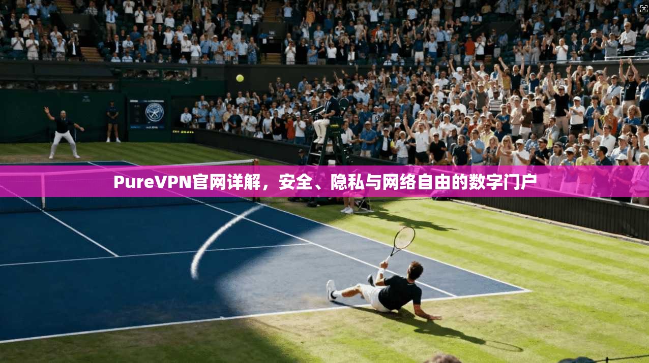 PureVPN官网详解，安全、隐私与网络自由的数字门户