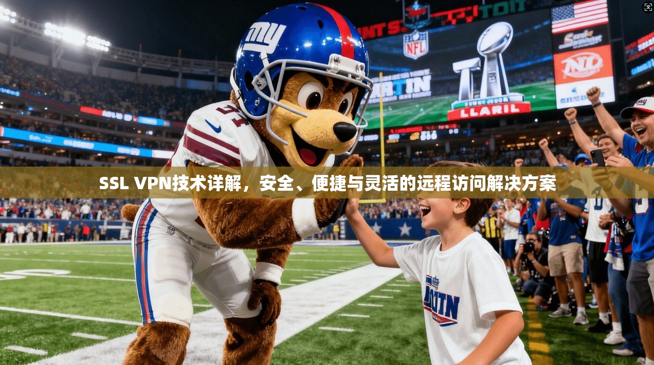 SSL VPN技术详解，安全、便捷与灵活的远程访问解决方案