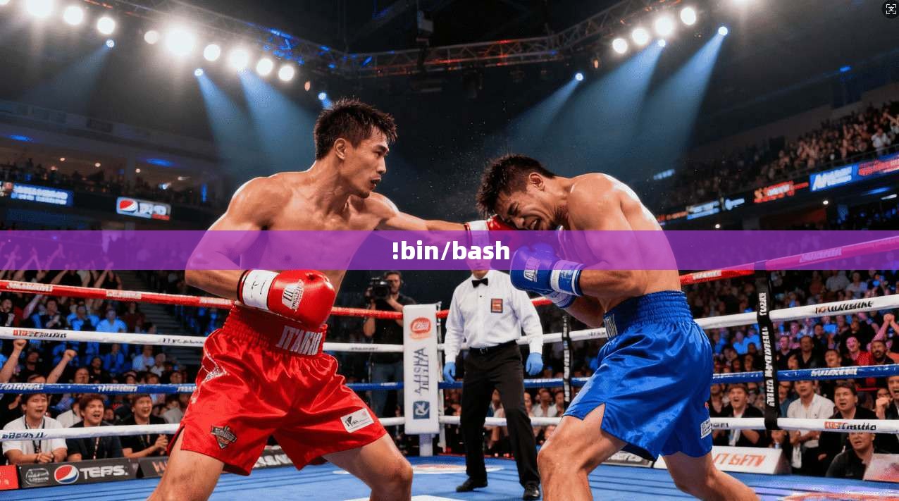 !bin/bash