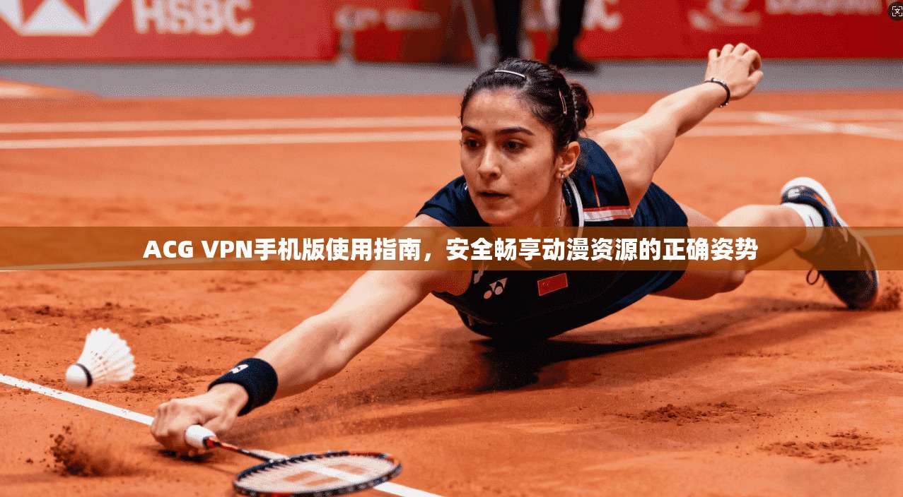 ACG VPN手机版使用指南，安全畅享动漫资源的正确姿势