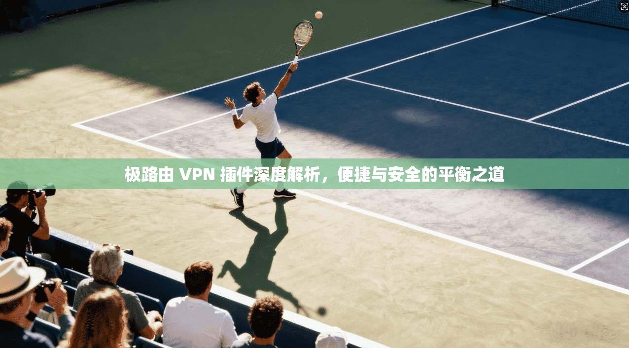 极路由 VPN 插件深度解析，便捷与安全的平衡之道