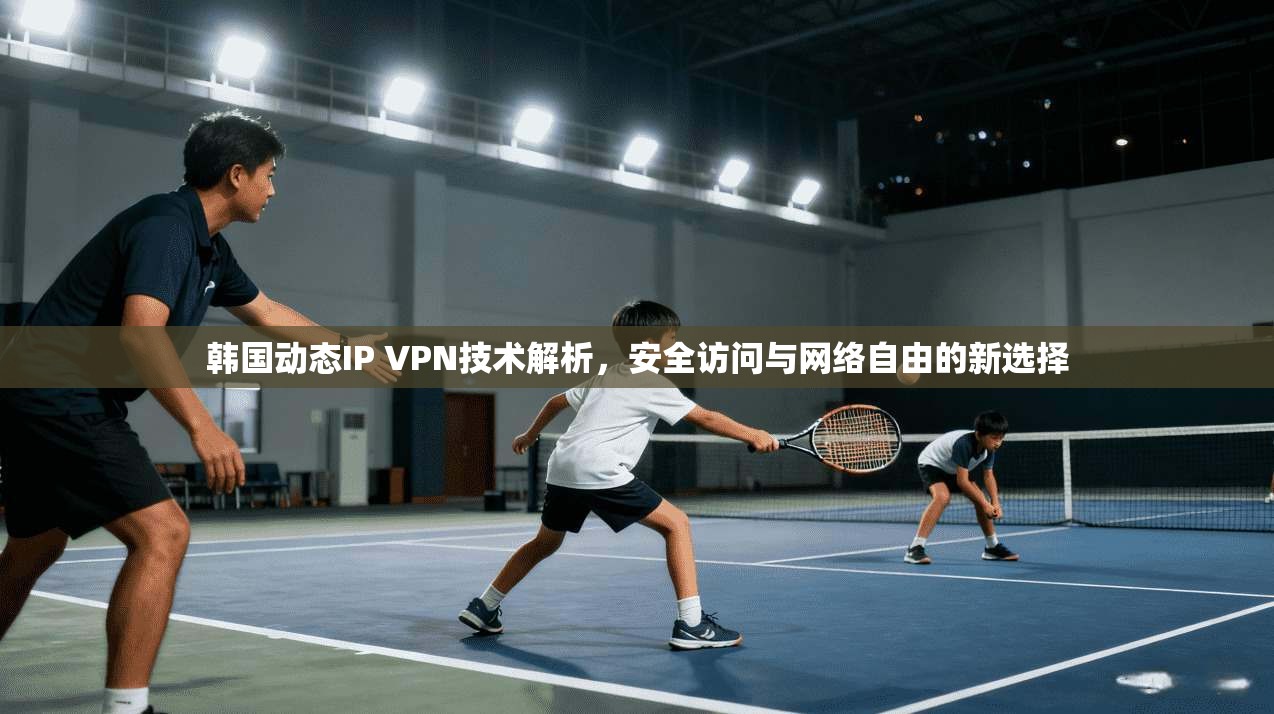 韩国动态IP VPN技术解析，安全访问与网络自由的新选择