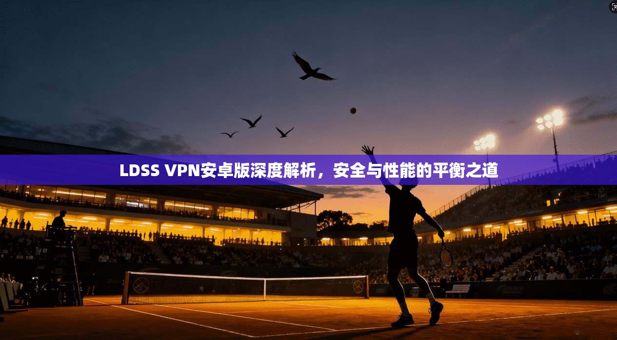 LDSS VPN安卓版深度解析，安全与性能的平衡之道