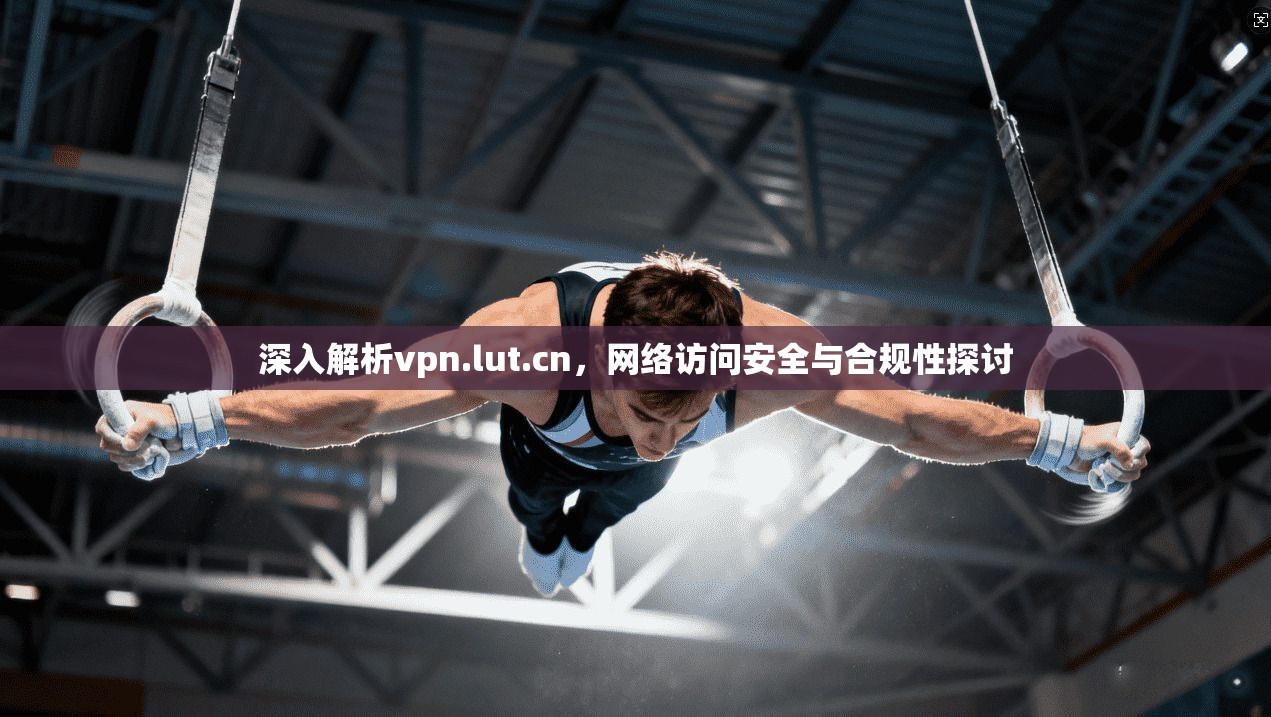 深入解析vpn.lut.cn，网络访问安全与合规性探讨