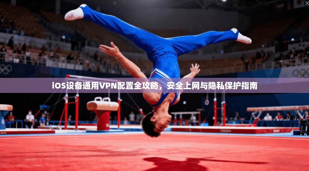 iOS设备通用VPN配置全攻略，安全上网与隐私保护指南