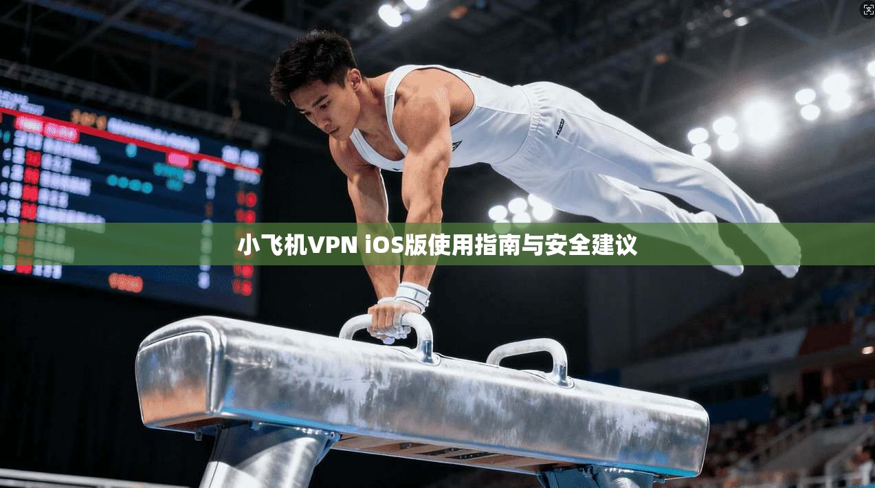 小飞机VPN iOS版使用指南与安全建议