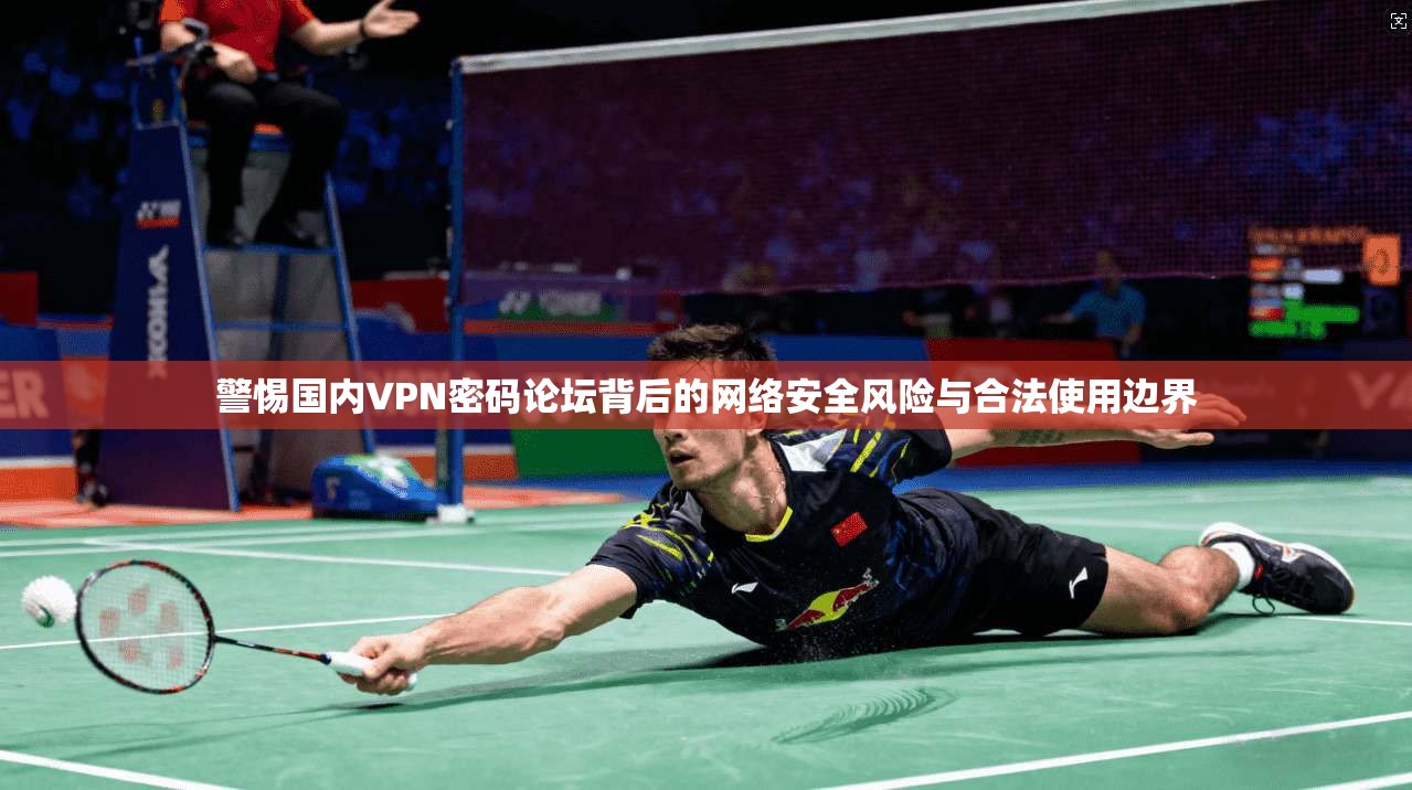 警惕国内VPN密码论坛背后的网络安全风险与合法使用边界