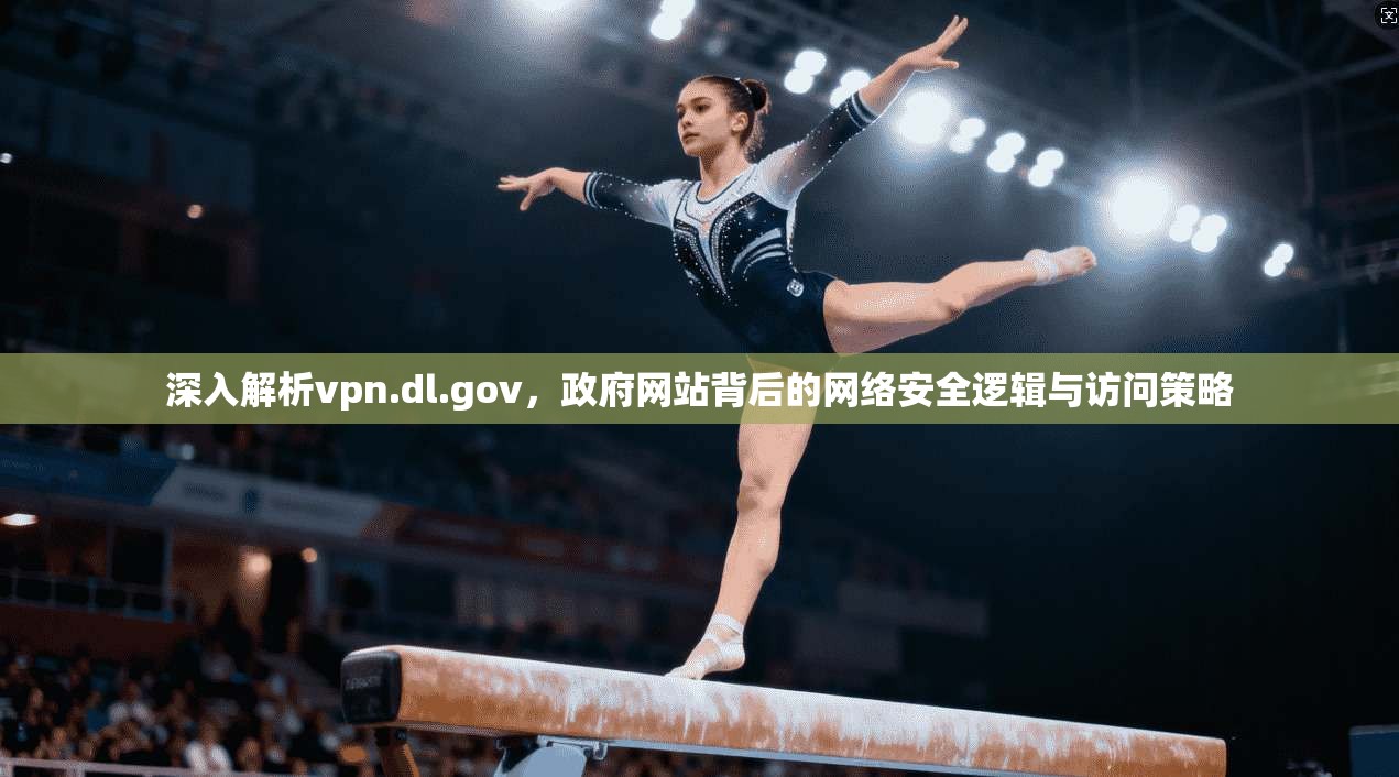 深入解析vpn.dl.gov，政府网站背后的网络安全逻辑与访问策略