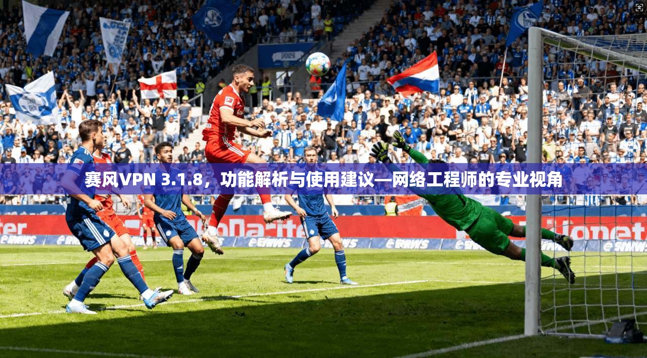 赛风VPN 3.1.8，功能解析与使用建议—网络工程师的专业视角
