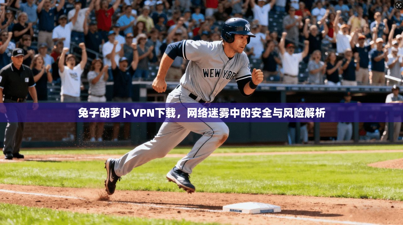 兔子胡萝卜VPN下载，网络迷雾中的安全与风险解析
