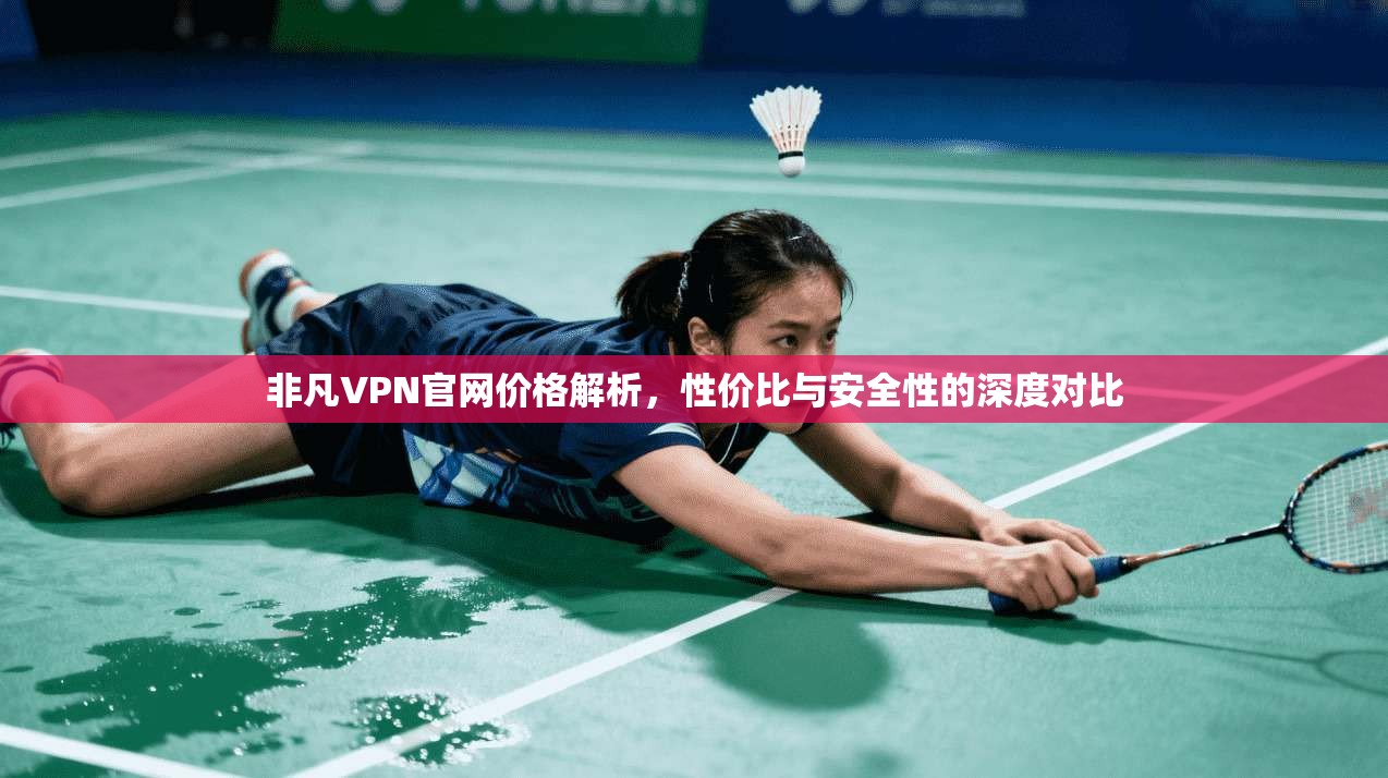 非凡VPN官网价格解析，性价比与安全性的深度对比