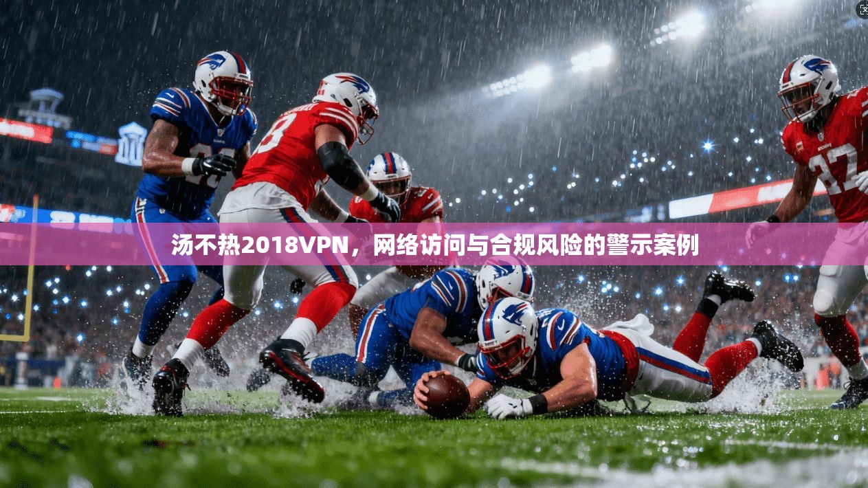 汤不热2018VPN，网络访问与合规风险的警示案例