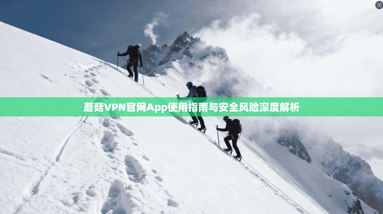 蘑菇VPN官网App使用指南与安全风险深度解析