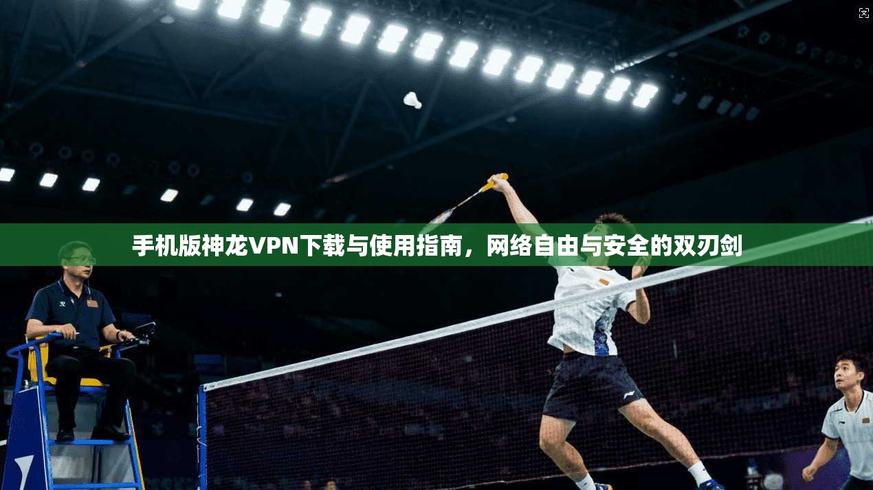 手机版神龙VPN下载与使用指南,网络自由与安全的双刃剑