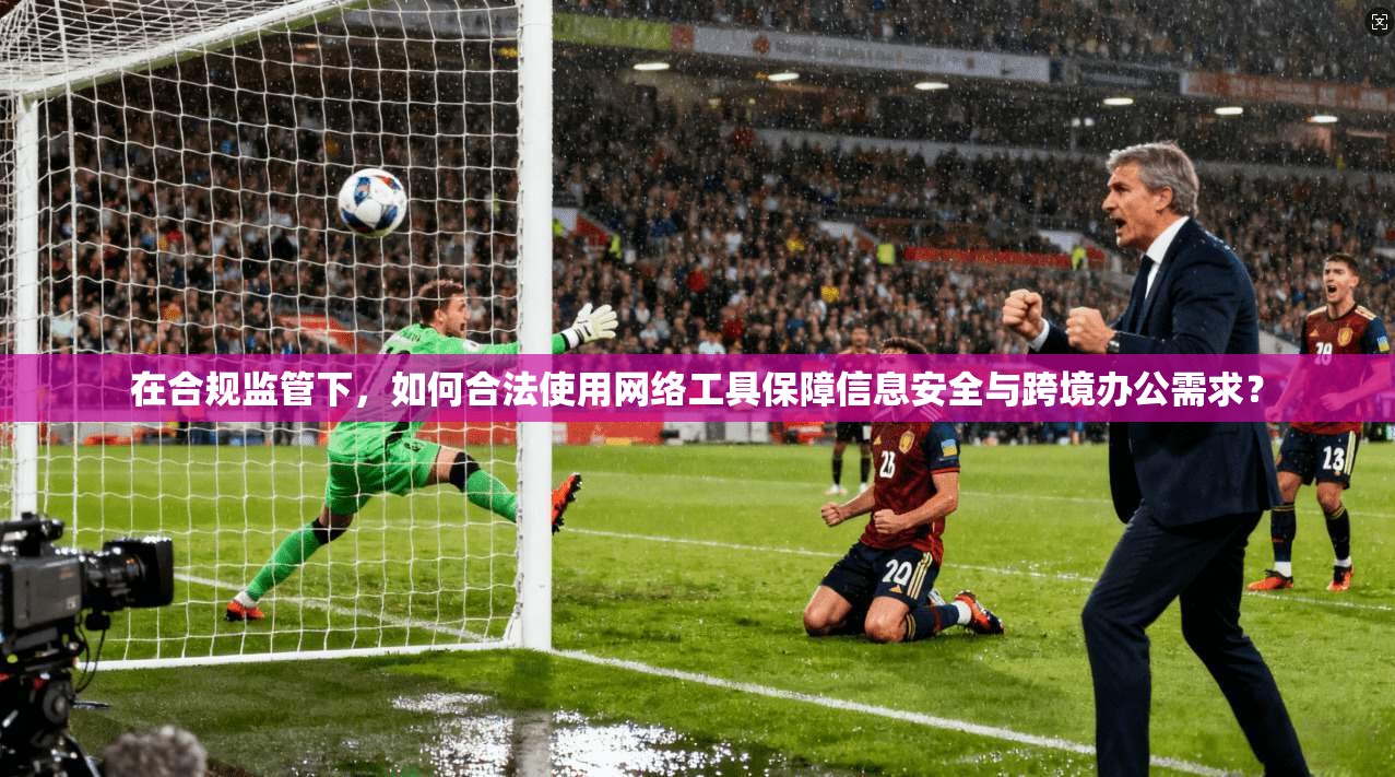 在合规监管下，如何合法使用网络工具保障信息安全与跨境办公需求？