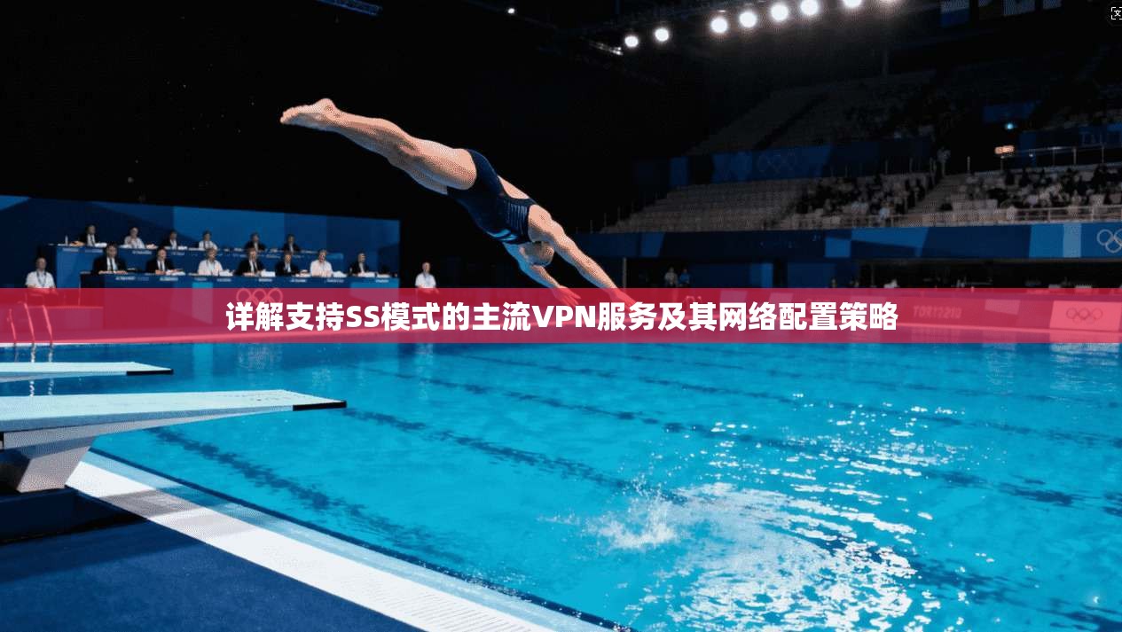详解支持SS模式的主流VPN服务及其网络配置策略