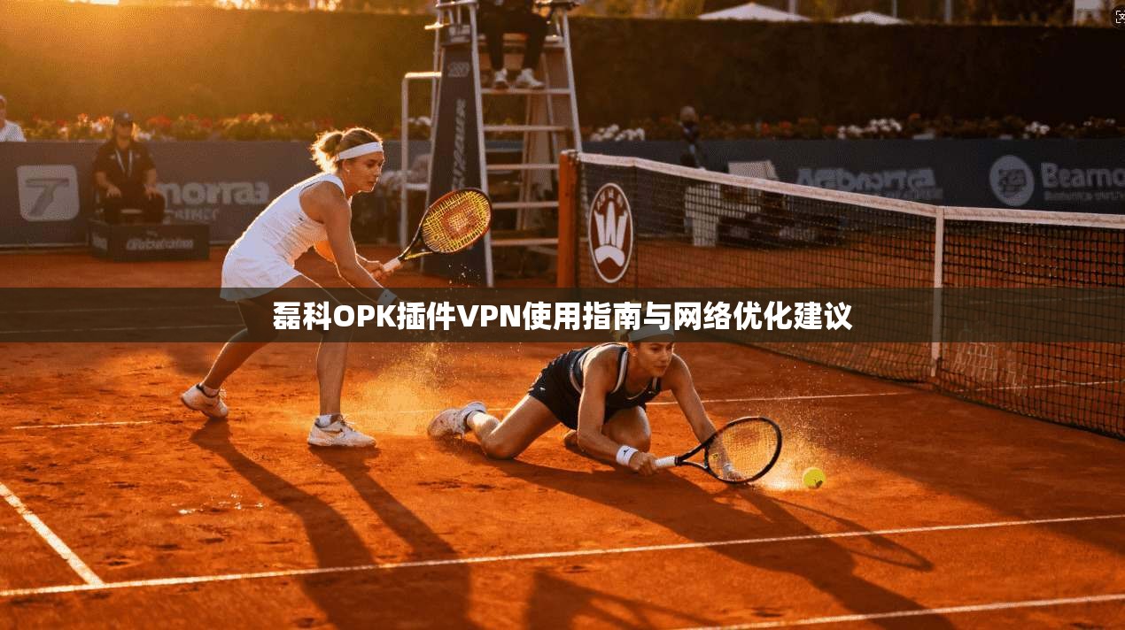 磊科OPK插件VPN使用指南与网络优化建议