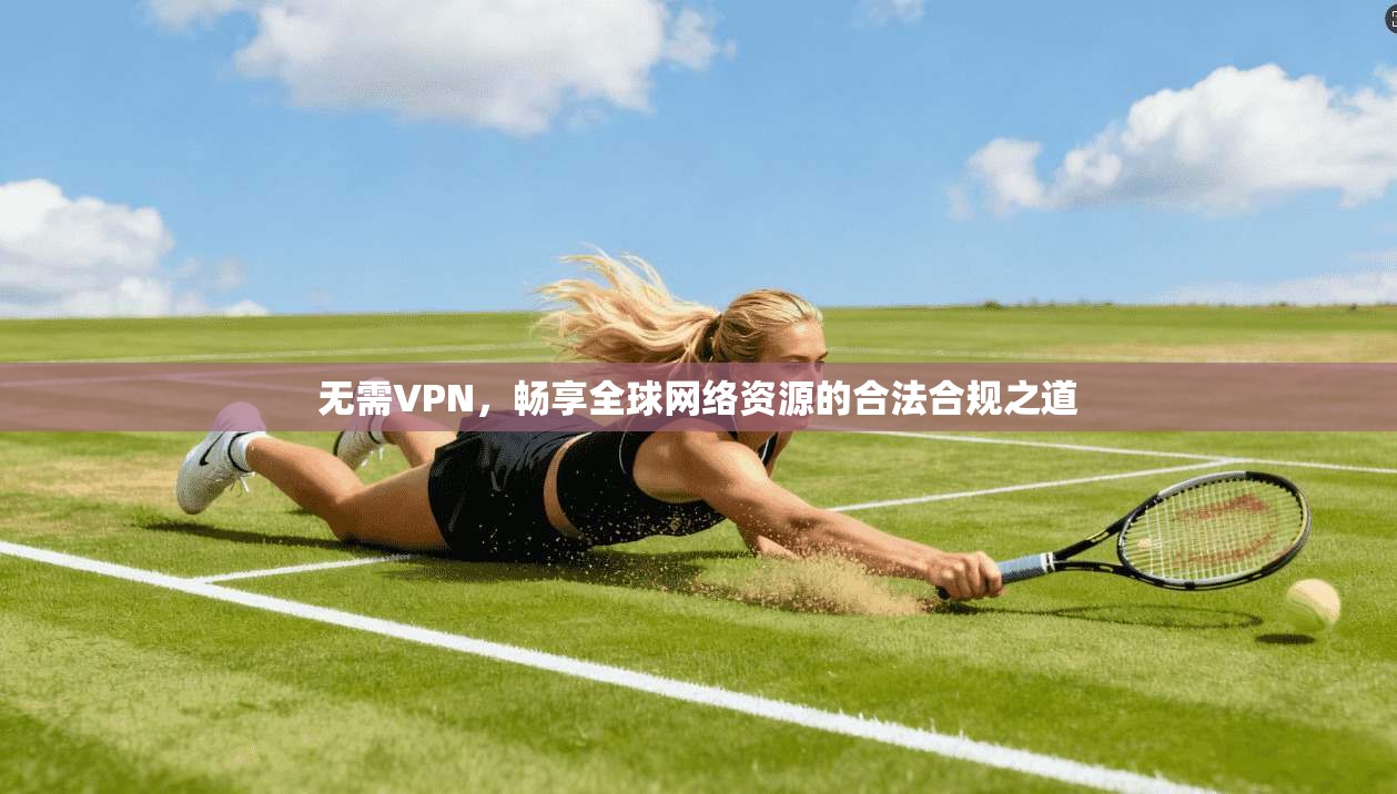 无需VPN，畅享全球网络资源的合法合规之道