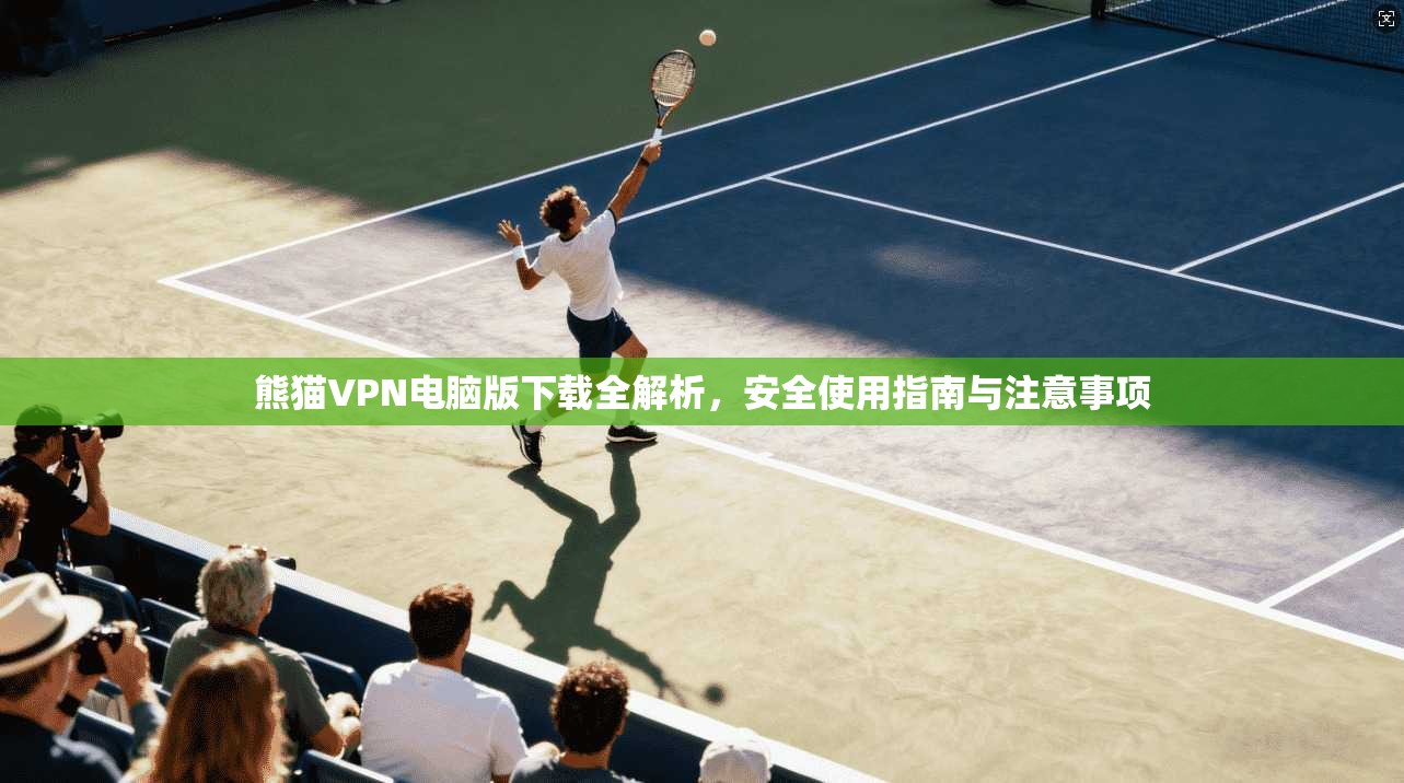 熊猫VPN电脑版下载全解析，安全使用指南与注意事项