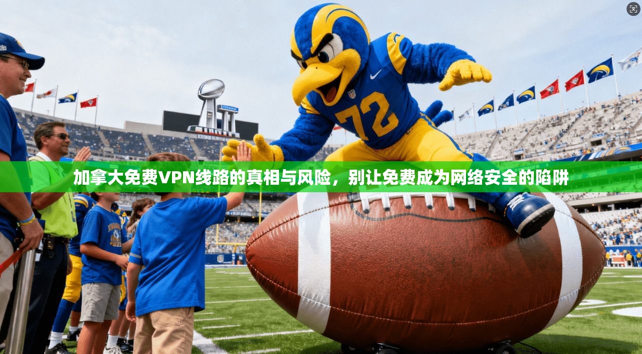 加拿大免费VPN线路的真相与风险，别让免费成为网络安全的陷阱