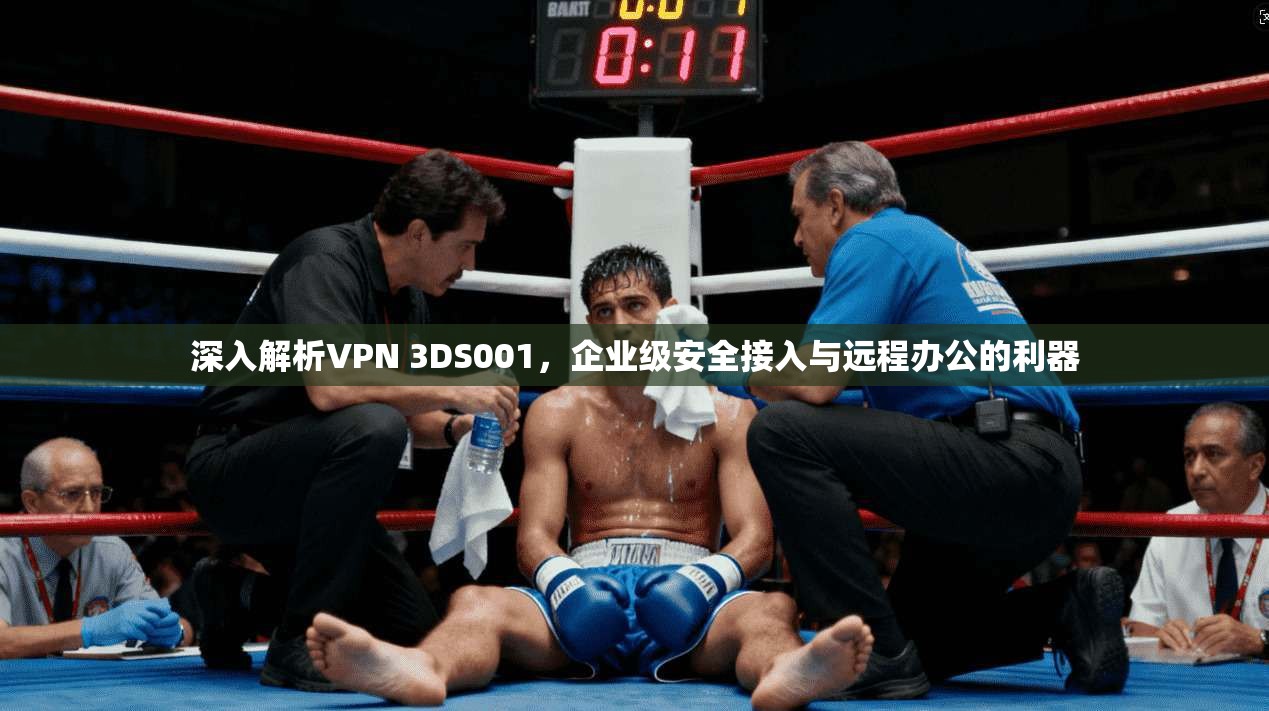 深入解析VPN 3DS001，企业级安全接入与远程办公的利器
