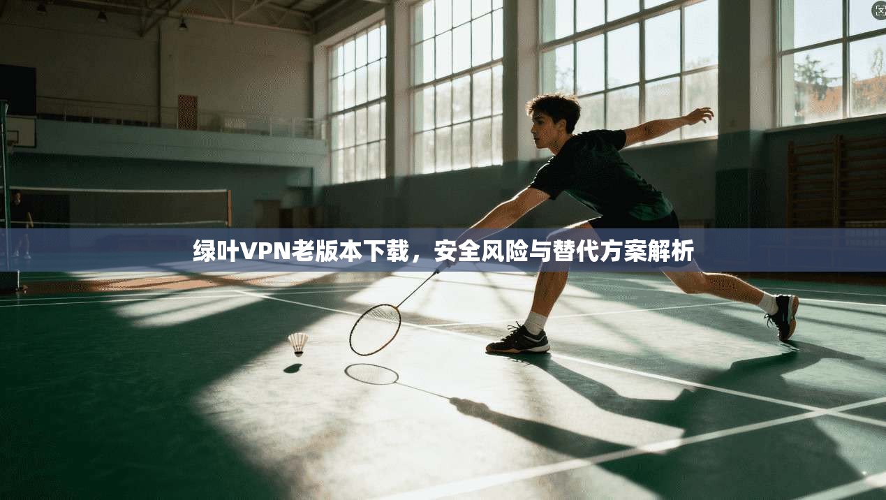 绿叶VPN老版本下载，安全风险与替代方案解析