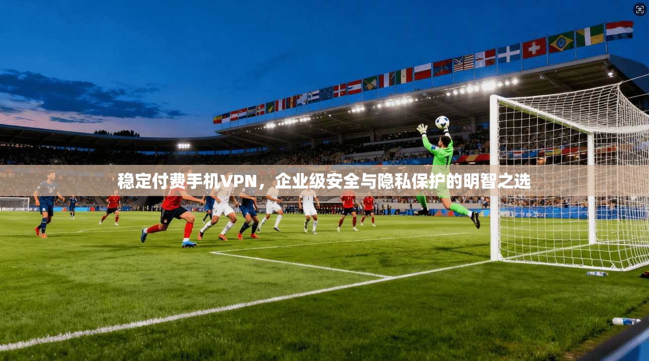 稳定付费手机VPN,企业级安全与隐私保护的明智之选