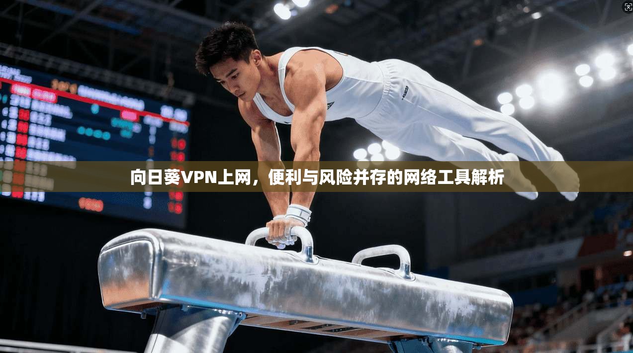 向日葵VPN上网，便利与风险并存的网络工具解析